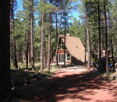 3305 Pinetop Dr, Williams, AZ 86046 photo 1