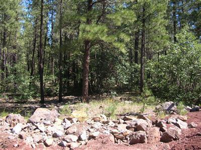 3305 Pinetop Dr, Williams, AZ 86046 photo 17