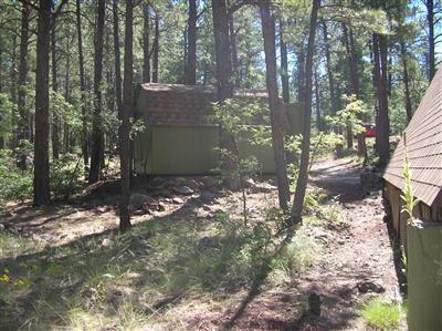 3305 Pinetop Dr, Williams, AZ 86046 photo 15