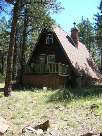 3305 Pinetop Dr, Williams, AZ 86046 photo 13