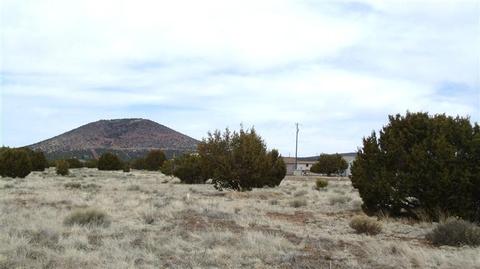 889 E Hoctor Rd, Williams, AZ 86046 photo 10