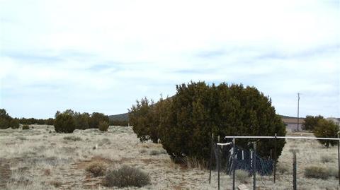 889 E Hoctor Rd, Williams, AZ 86046 photo 9