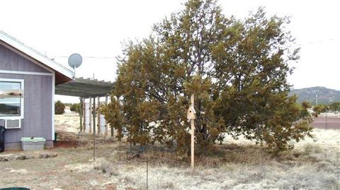 889 E Hoctor Rd, Williams, AZ 86046 photo 11