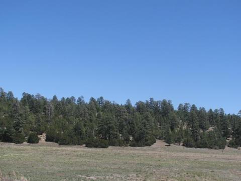 5564 E Boulder Run Dr, Flagstaff, AZ 86004 photo 2