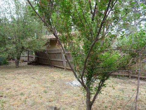 852 Celilo, Flagstaff, AZ 86001 photo 22