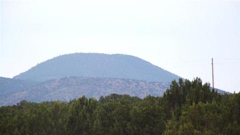 4445 Whitetail Loop, Williams, AZ 86046 photo 16