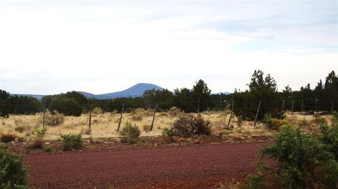 4445 Whitetail Loop, Williams, AZ 86046 photo 6