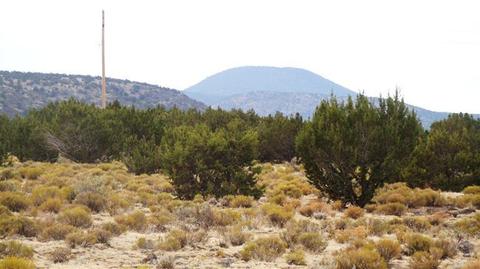 4445 Whitetail Loop, Williams, AZ 86046 photo 11