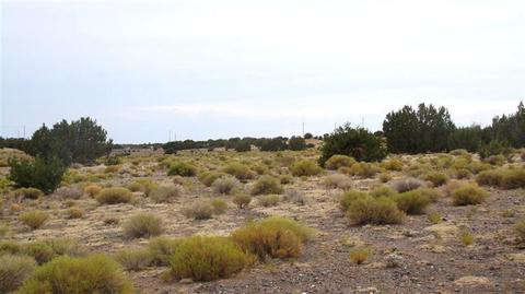 4445 Whitetail Loop, Williams, AZ 86046 photo 15