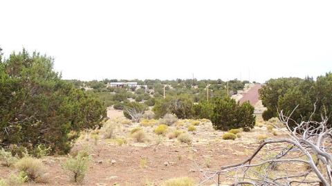 4445 Whitetail Loop, Williams, AZ 86046 photo 5
