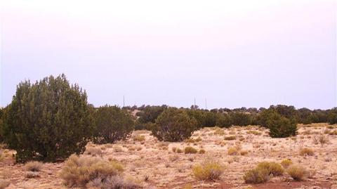 4445 Whitetail Loop, Williams, AZ 86046 photo 3