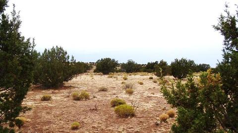 4445 Whitetail Loop, Williams, AZ 86046 photo 2