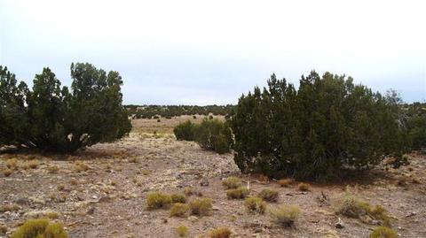 4445 Whitetail Loop, Williams, AZ 86046 photo 9