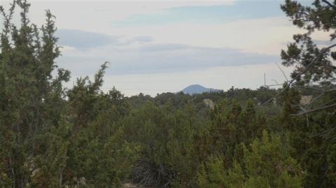 4445 Whitetail Loop, Williams, AZ 86046 photo 12