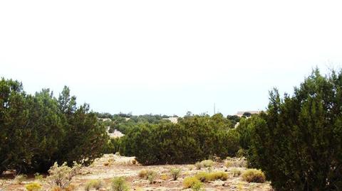 4445 Whitetail Loop, Williams, AZ 86046 photo 4