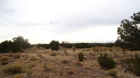 4445 Whitetail Loop, Williams, AZ 86046 photo 8