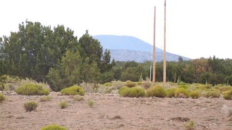 4445 Whitetail Loop, Williams, AZ 86046 photo 19