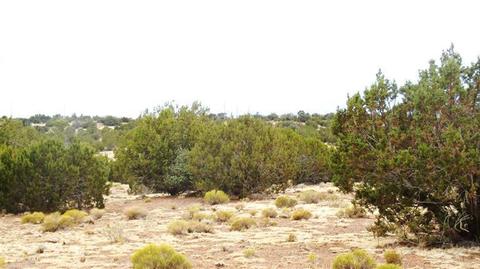4445 Whitetail Loop, Williams, AZ 86046 photo 7