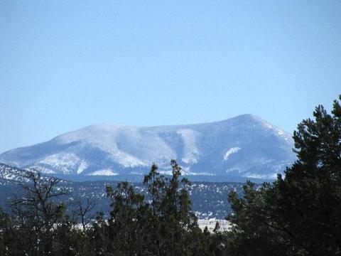 4128 E Valencia Rd, Williams, AZ 86046 photo 3