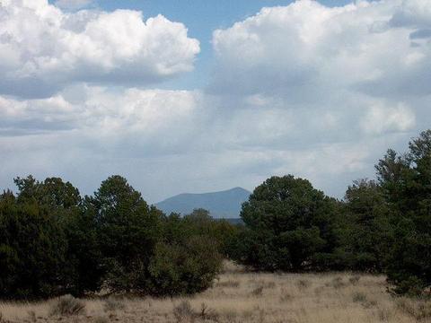 4128 E Valencia Rd, Williams, AZ 86046 photo 2