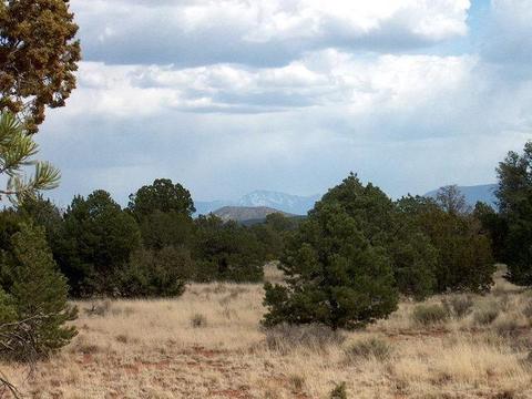 4128 E Valencia Rd, Williams, AZ 86046 photo 5