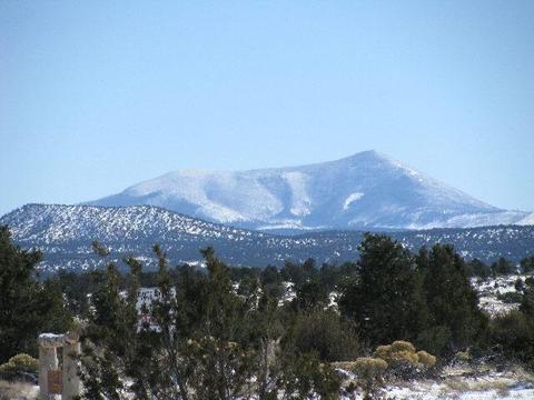 4128 E Valencia Rd, Williams, AZ 86046 photo 4