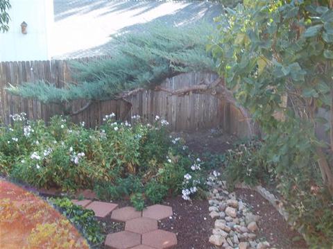 3241 E Ascona, Flagstaff, AZ 86004 photo 37