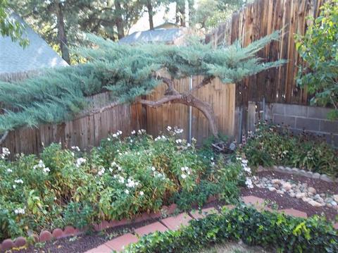 3241 E Ascona, Flagstaff, AZ 86004 photo 27