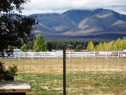 6145 E Morningside, Flagstaff, AZ 86004 photo 7