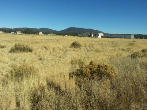 8151 E Jonathan Ln, Flagstaff, AZ 86004 photo 9