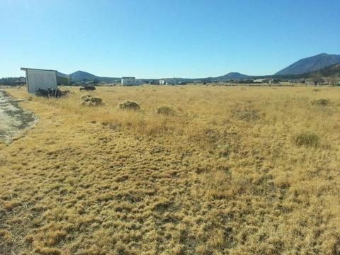8151 E Jonathan Ln, Flagstaff, AZ 86004 photo 3