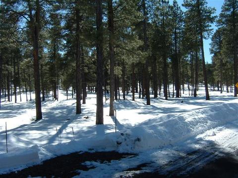 256 E Foothill Ter, Williams, AZ 86046 photo 4