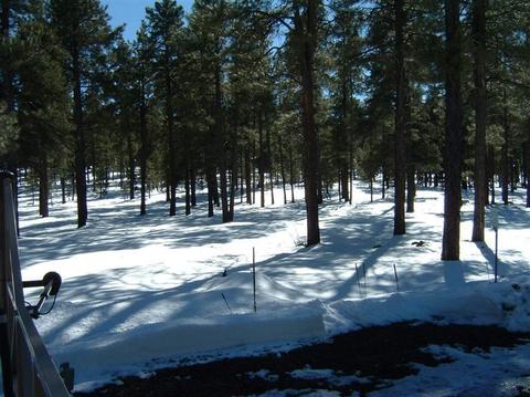 256 E Foothill Ter, Williams, AZ 86046 photo 5
