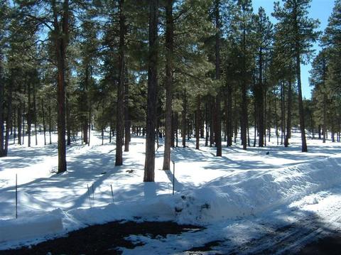 256 E Foothill Ter, Williams, AZ 86046 photo 7