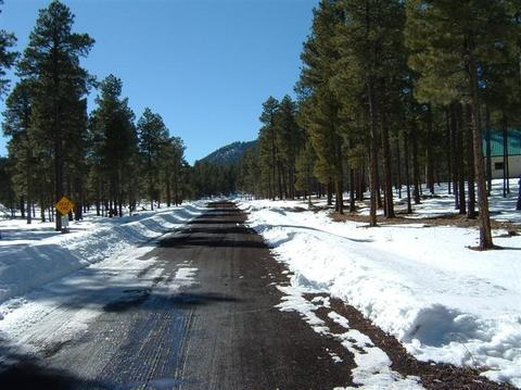 256 E Foothill Ter, Williams, AZ 86046 photo 2