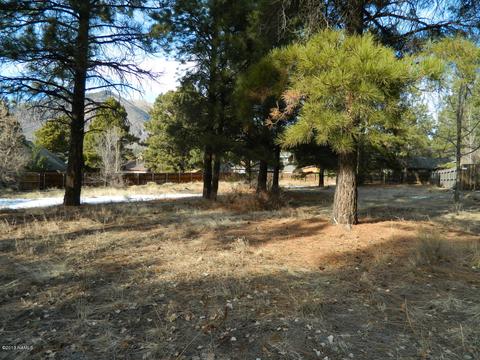 3676 E Silver Fox Cir, Flagstaff, AZ 86004 photo 3