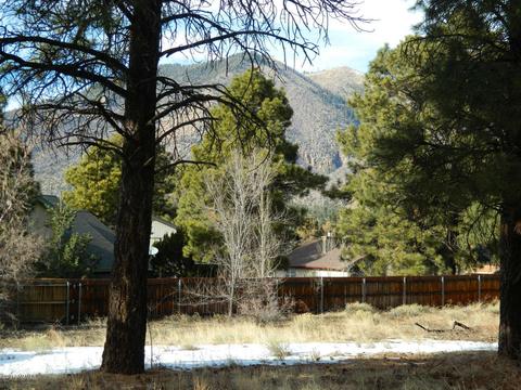 3676 E Silver Fox Cir, Flagstaff, AZ 86004 photo 4