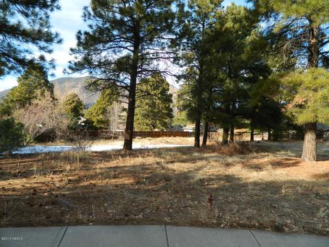 3676 E Silver Fox Cir, Flagstaff, AZ 86004 photo 1