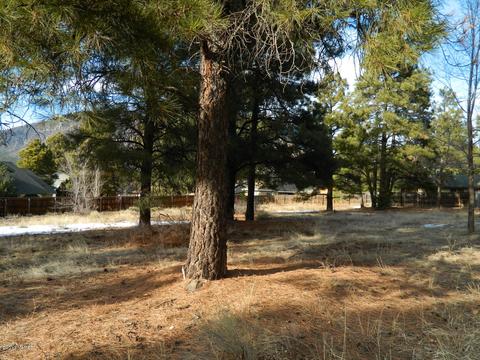 3676 E Silver Fox Cir, Flagstaff, AZ 86004 photo 9