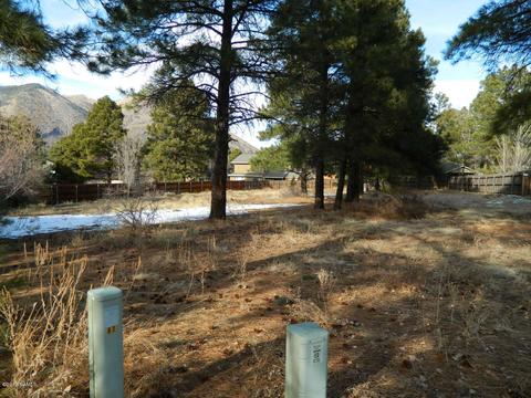 3676 E Silver Fox Cir, Flagstaff, AZ 86004 photo 10