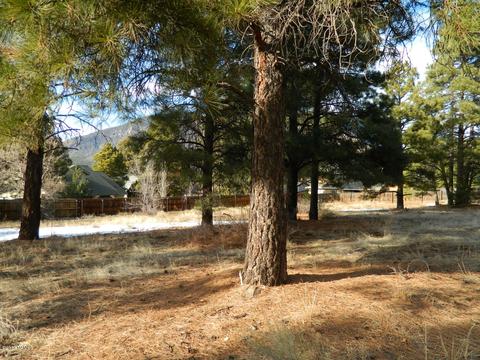 3676 E Silver Fox Cir, Flagstaff, AZ 86004 photo 8