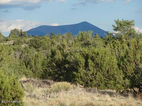 6304 Lasso Loop, Valle, AZ 86046 photo 1