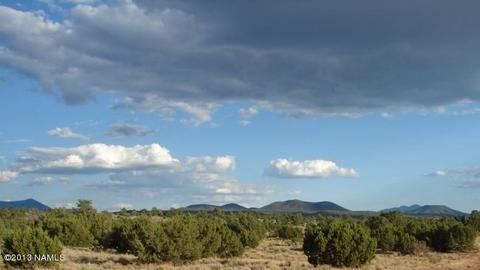 6304 Lasso Loop, Valle, AZ 86046 photo 3