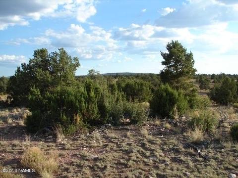 6304 Lasso Loop, Valle, AZ 86046 photo 5