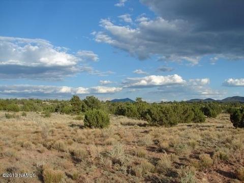 6304 Lasso Loop, Valle, AZ 86046 photo 4
