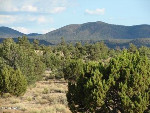 6304 Lasso Loop, Valle, AZ 86046 photo 2