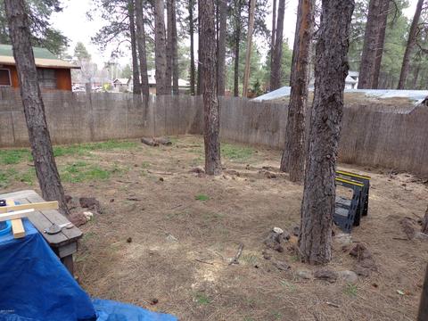 3675 Bannock, Flagstaff, AZ 86005 photo 26