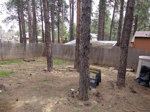 3675 Bannock, Flagstaff, AZ 86005 photo 27