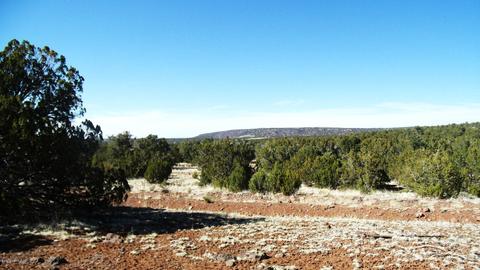 662 E Running Bear Rd, Williams, AZ 86046 photo 1