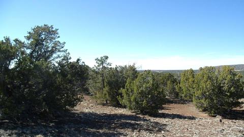 662 E Running Bear Rd, Williams, AZ 86046 photo 2